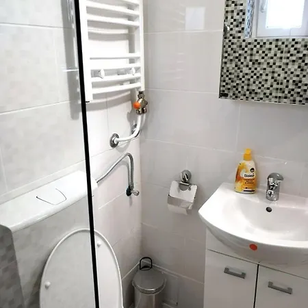 Vajda * Novi Sad