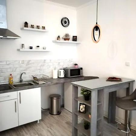 Vajda Lägenhet Novi Sad