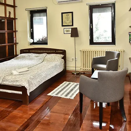 Vajda * Novi Sad