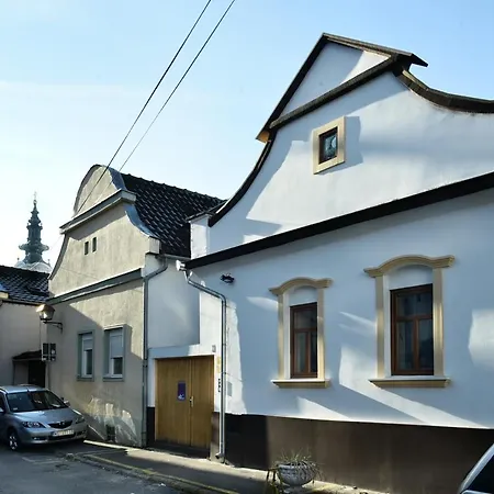 Vajda * Novi Sad